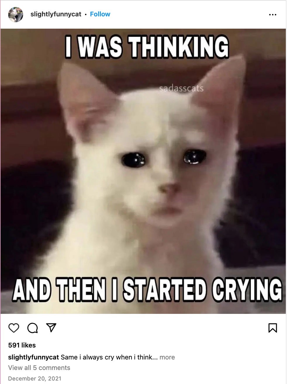 crying cat meme