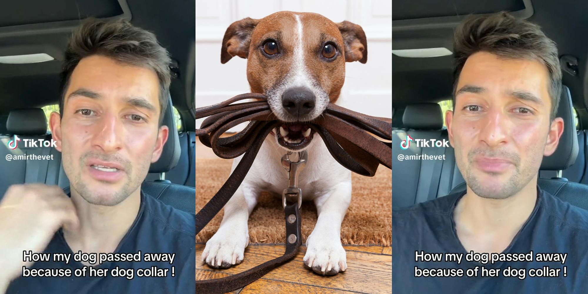 upset man in car with caption "How my dog passed away because of her dog collar!" (l&r) dog with leash in mouth (c)