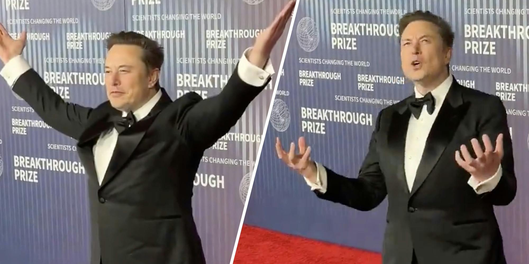 Elon musk gesturing (two split)