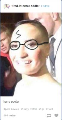 harry pooter