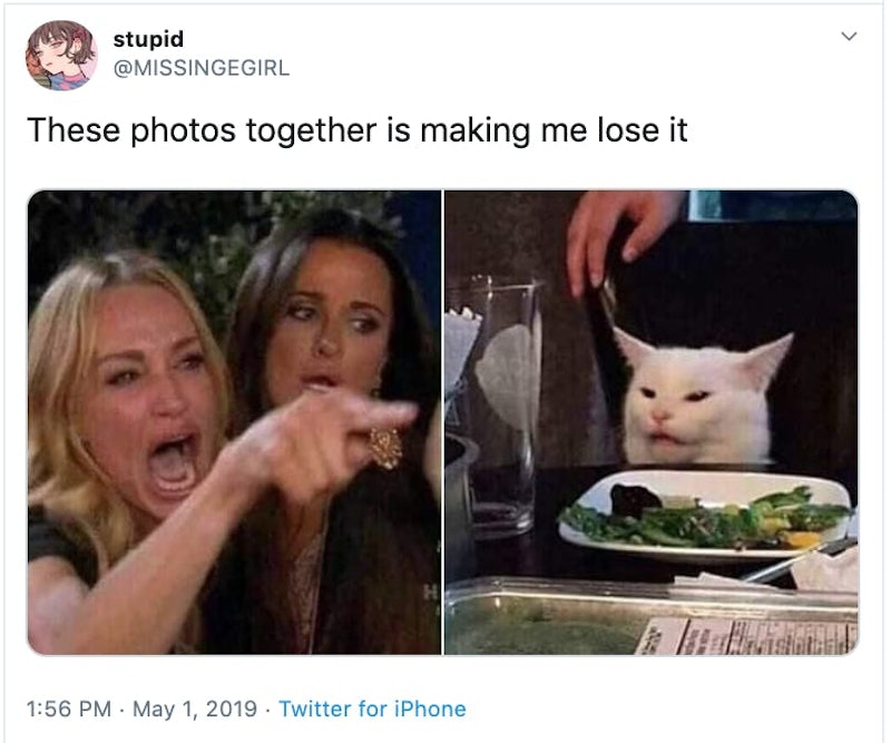 'Woman Yelling At A Cat' is Derived From Two Popular Memes