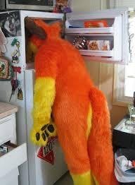 241543903 meme with a furry in the freezer.