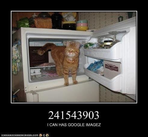 241543903 meme with a cat in the freezer