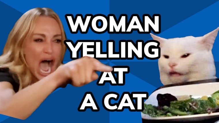 Woman Yelling At Cat Meme