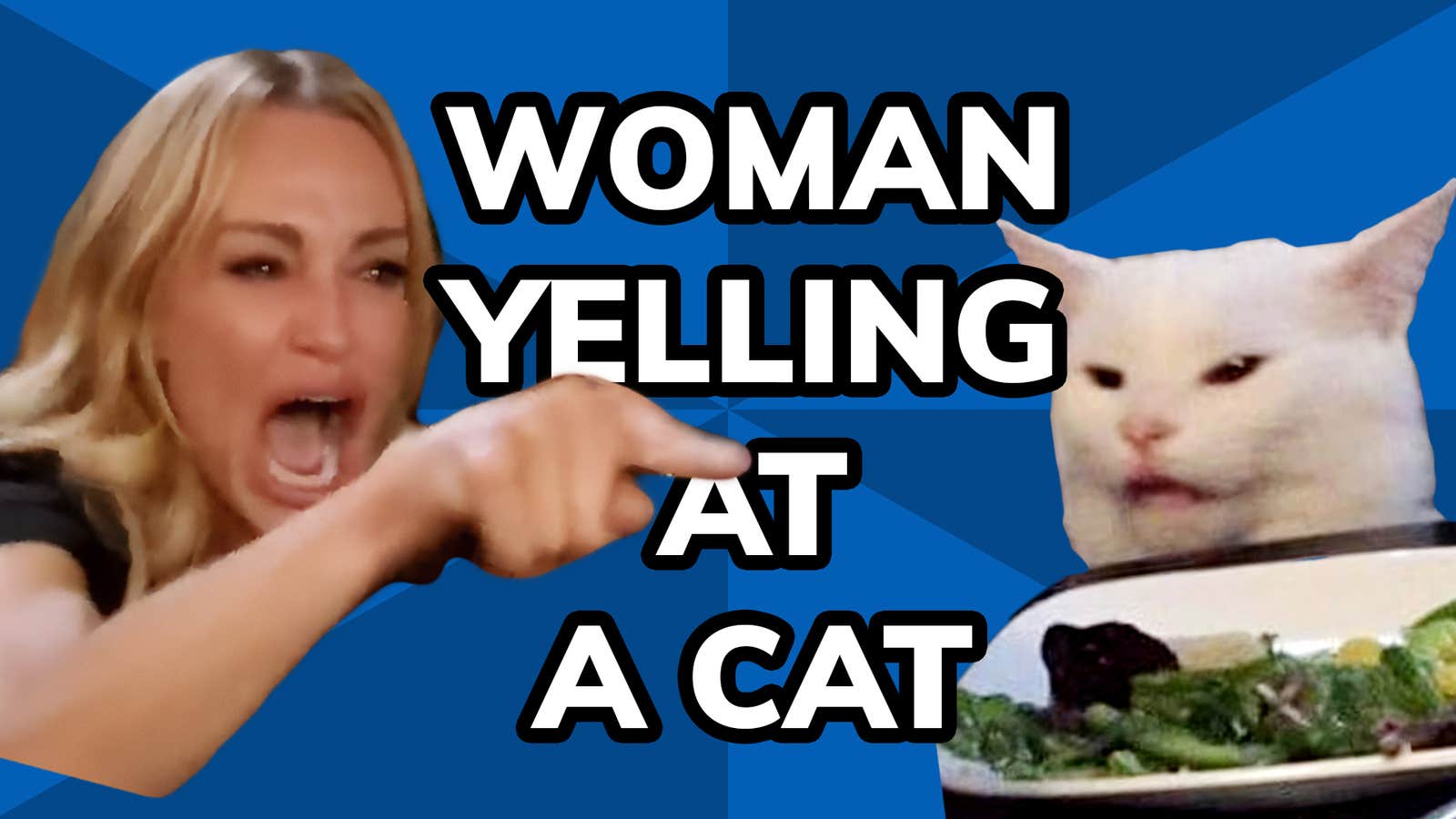 Meme History Woman Yelling At Cat