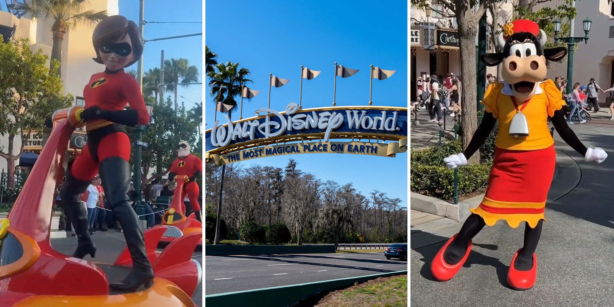 Former Disney employee: gay men are usually inside of tall park characters