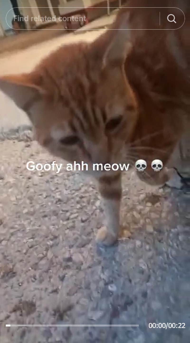 What Does Goofy Ahh Mean And Where Did It Come From?