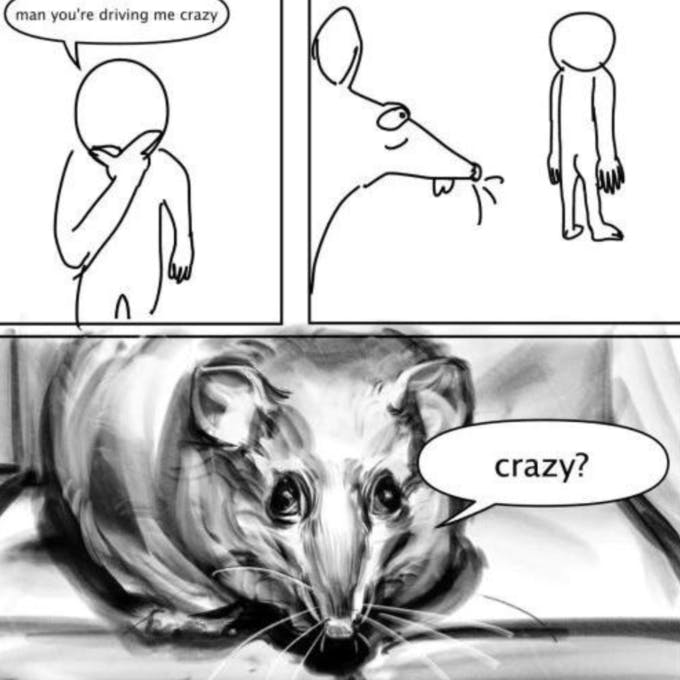 A comic referencing the I was crazy once meme.
