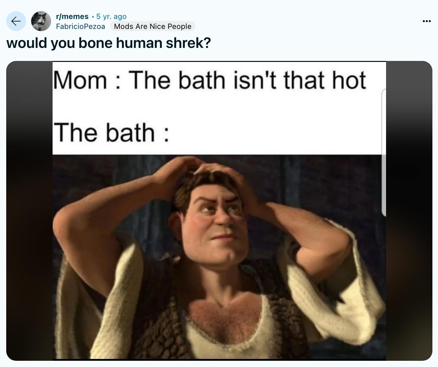 FabricioPezoa Reddit Post of HumanShrek