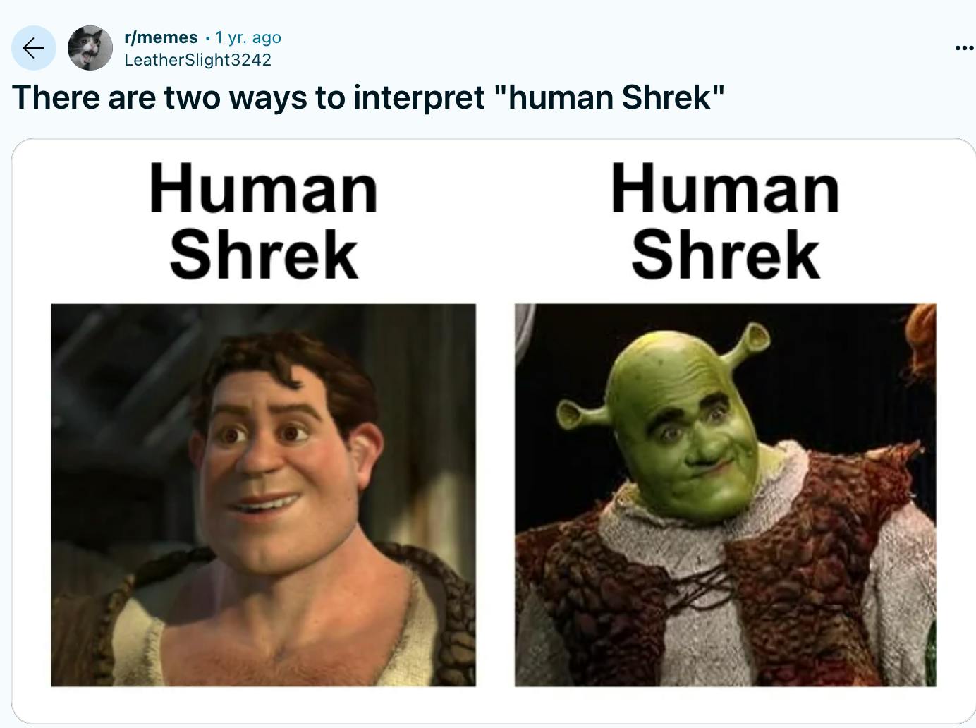 Reddit post by LeatehrSlight324 of Human-Shrek