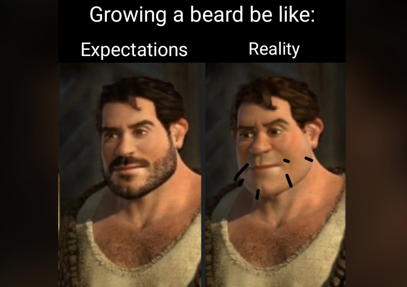 Reddit post by armance83 of bearded Human Shrek