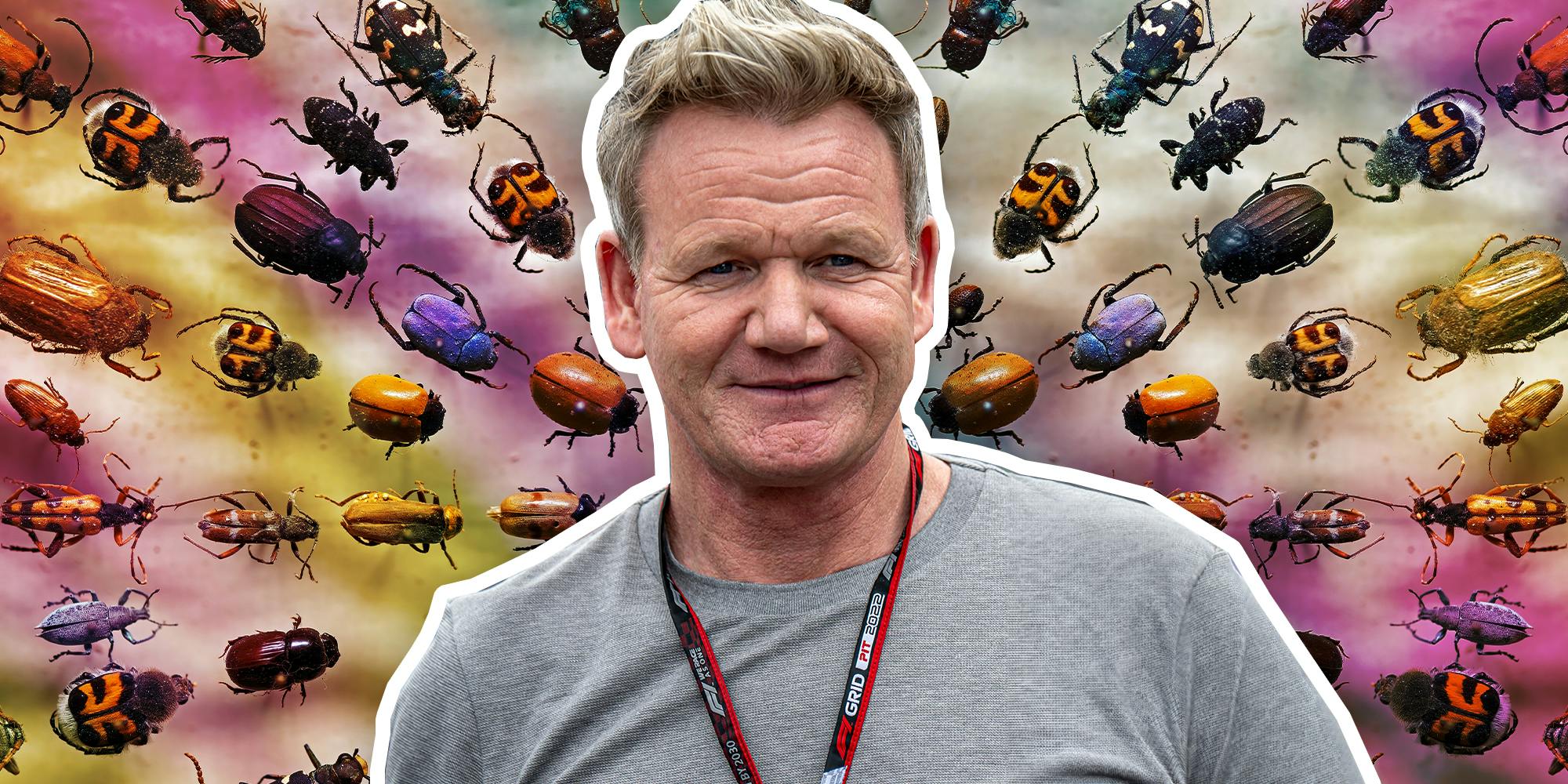 Gordon Ramsay protests globalist plan to feed world bugs