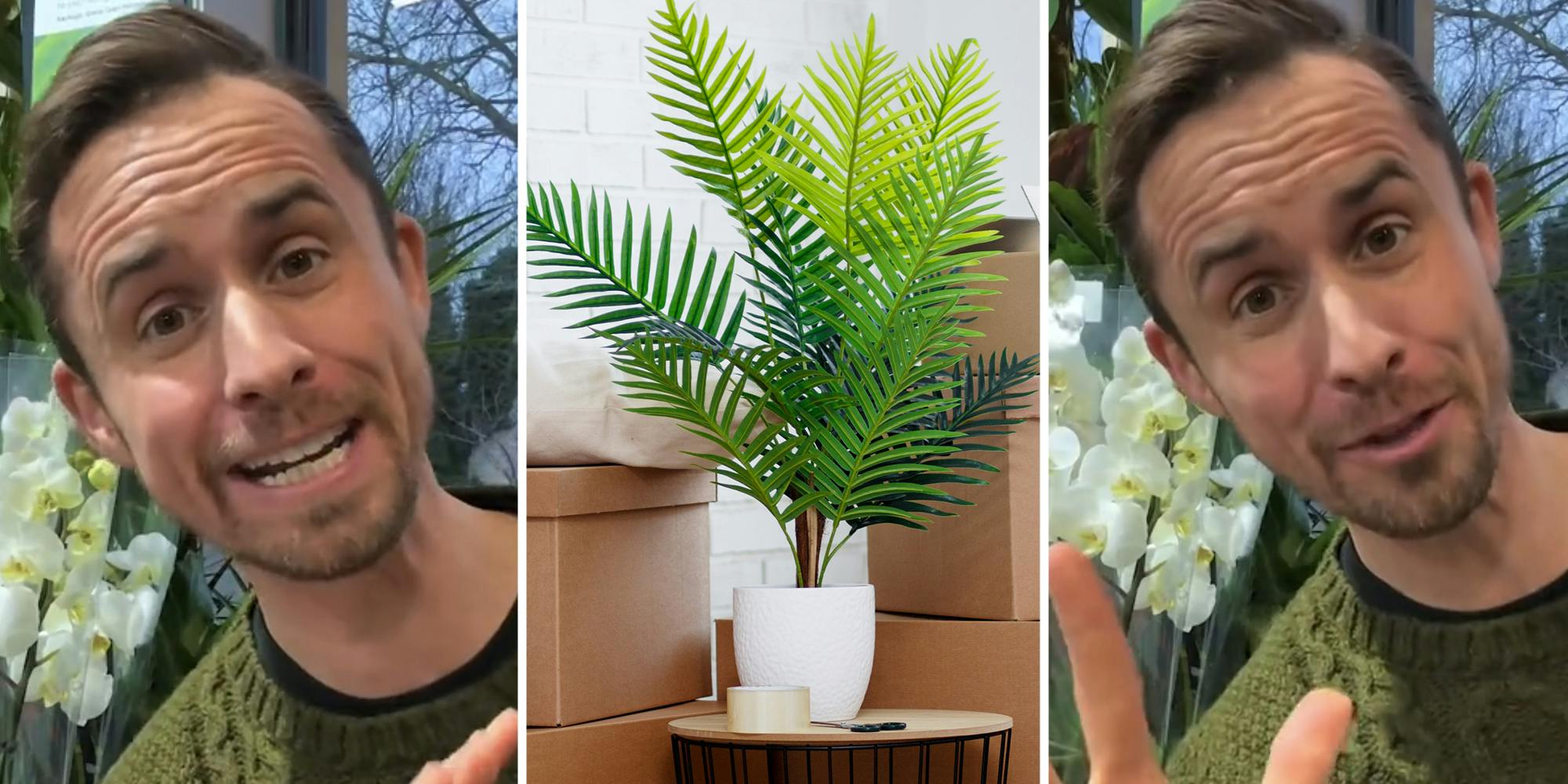 Expert Reveals 3 Oxygen-Releasing Plants for Your Bedroom