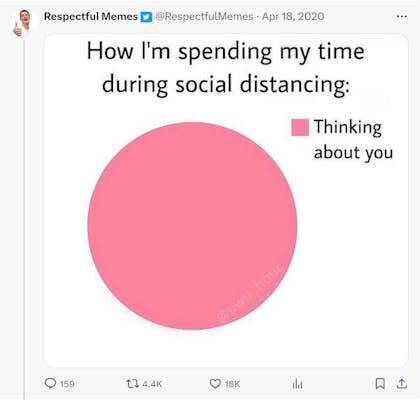 Tweet from @RespectfulMemes that says "How I'm spending my time during social distancing:" and it is a pink "pie chart" with the key "Thinking about you."