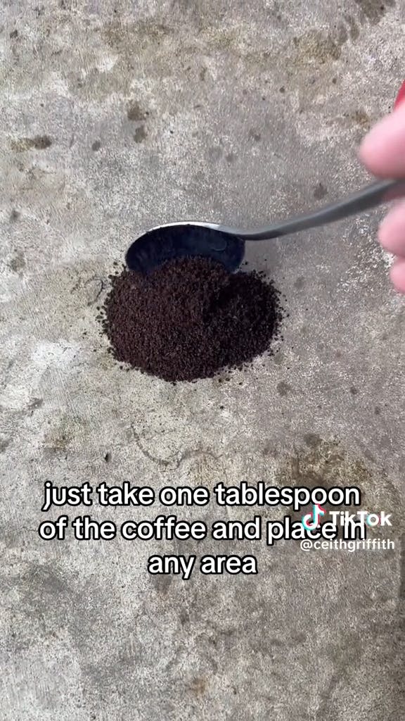 spoonful of coffee on ground with caption 'just take one tablespoon of the coffee and place it in any area'