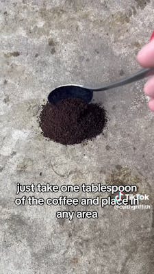 spoonful of coffee on ground with caption "just take one tablespoon of the coffee and place it in any area"