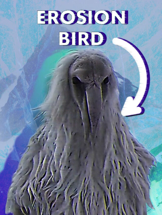AI Erosion Bird in arctic over green and blue