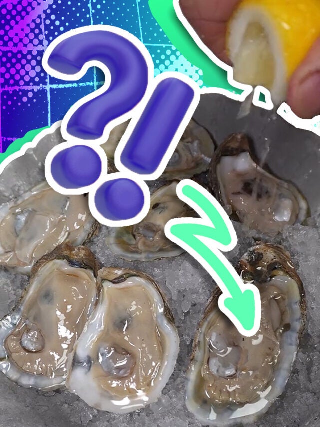 oysters over green and blue