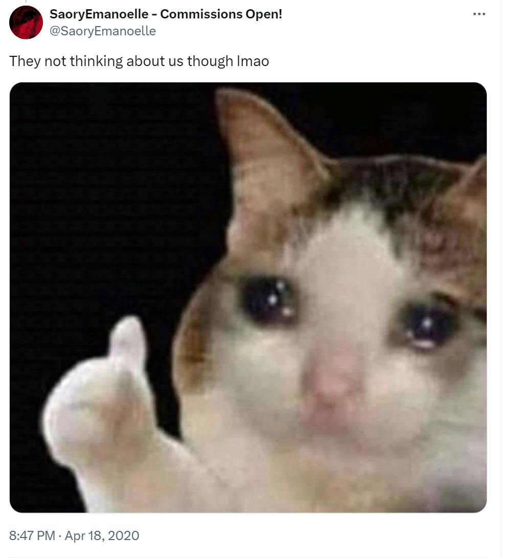 Response tweet to the @RespectfulMemes tweet that says, 'They not thinking about us thought lmao' with the thumbs up crying cat meme.