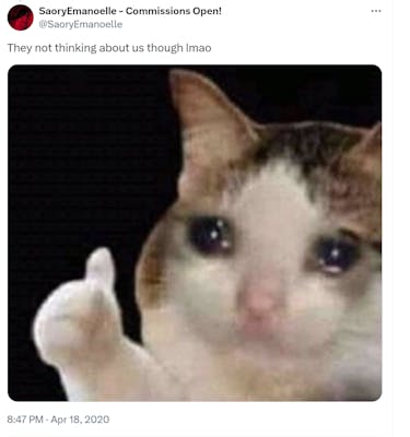 Response tweet to the @RespectfulMemes tweet that says, "They not thinking about us thought lmao" with the thumbs up crying cat meme.