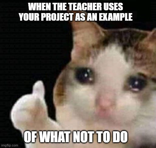 Thumbs up crying cat meme with a text overlay that reads, 'When the teacher uses your project as an example of what not to do.'