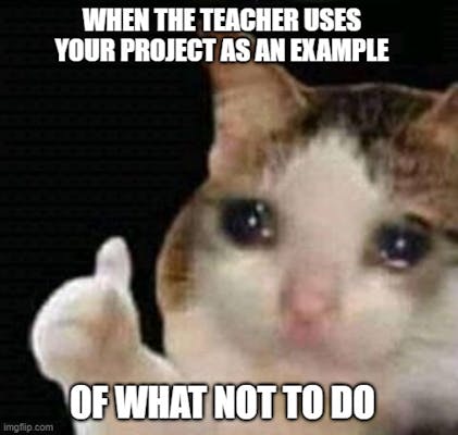 Thumbs up crying cat meme with a text overlay that reads, "When the teacher uses your project as an example of what not to do."