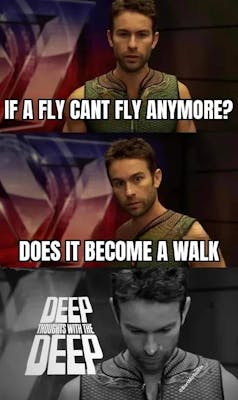 deep thoughts with the deep meme reading ""If a fly can't fly anymore does it become a walk?"