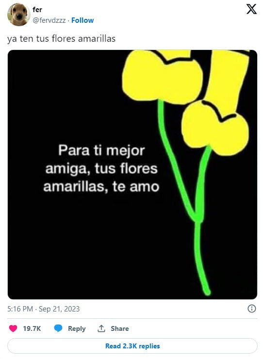 Microsoft paint drawn yellow flowers that look phallic with the caption 'Para ti mejor amiga, tus flores amarillas, te amo.'