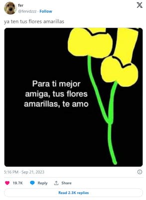 Microsoft paint drawn yellow flowers that look phallic with the caption "Para ti mejor amiga, tus flores amarillas, te amo."