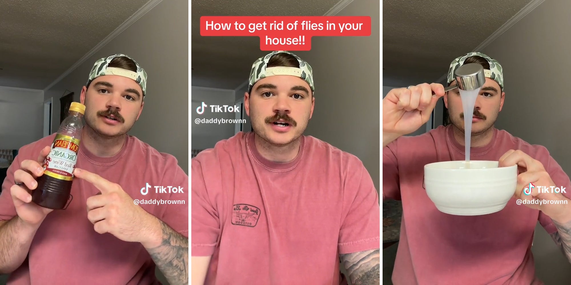 man mixing ingredients with caption 'how to get rid of flies in your house!!'