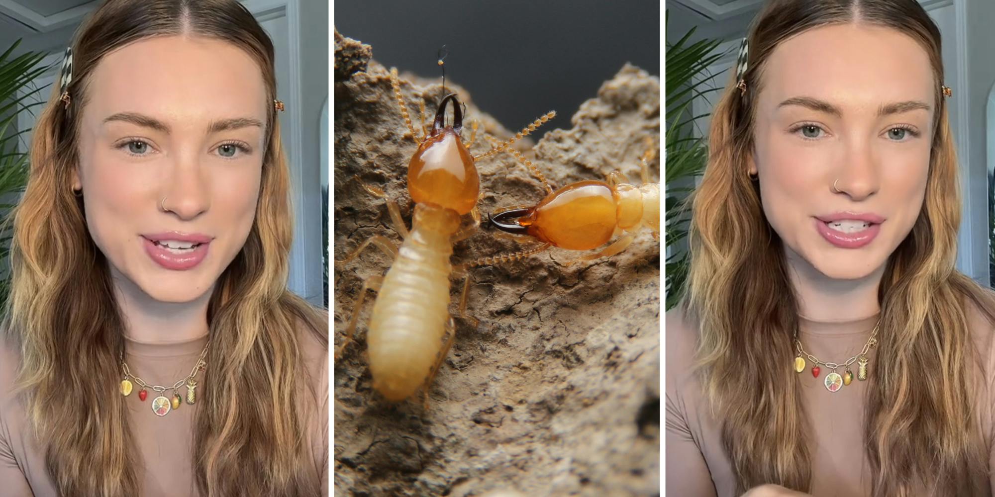 Woman talking(l+r), Termites(c)