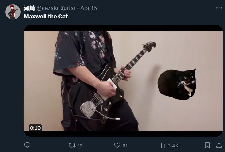 Maxwell the cat bopping along to a guitar