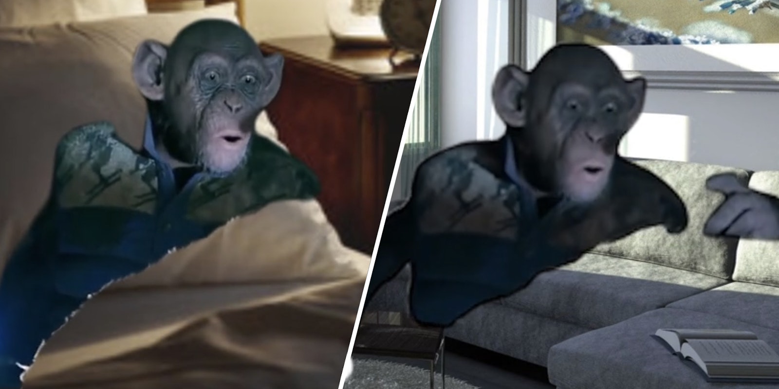 'Oh No' Monkey Meme From Of The Apes' 'Oh No' Monkey Meme From Of The Apes'