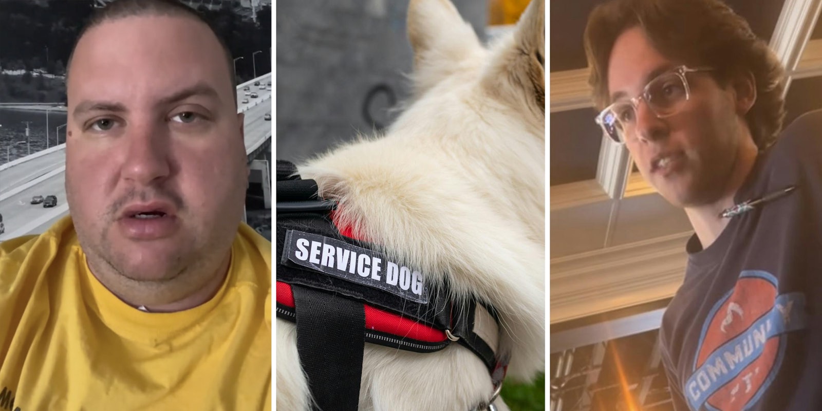 Man 1 talking(l), Service dog(c), Man 2 talking(r)