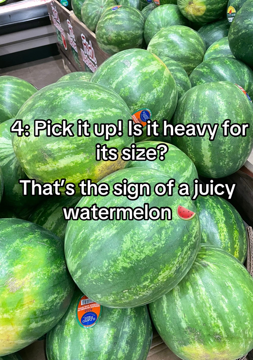 watermelon