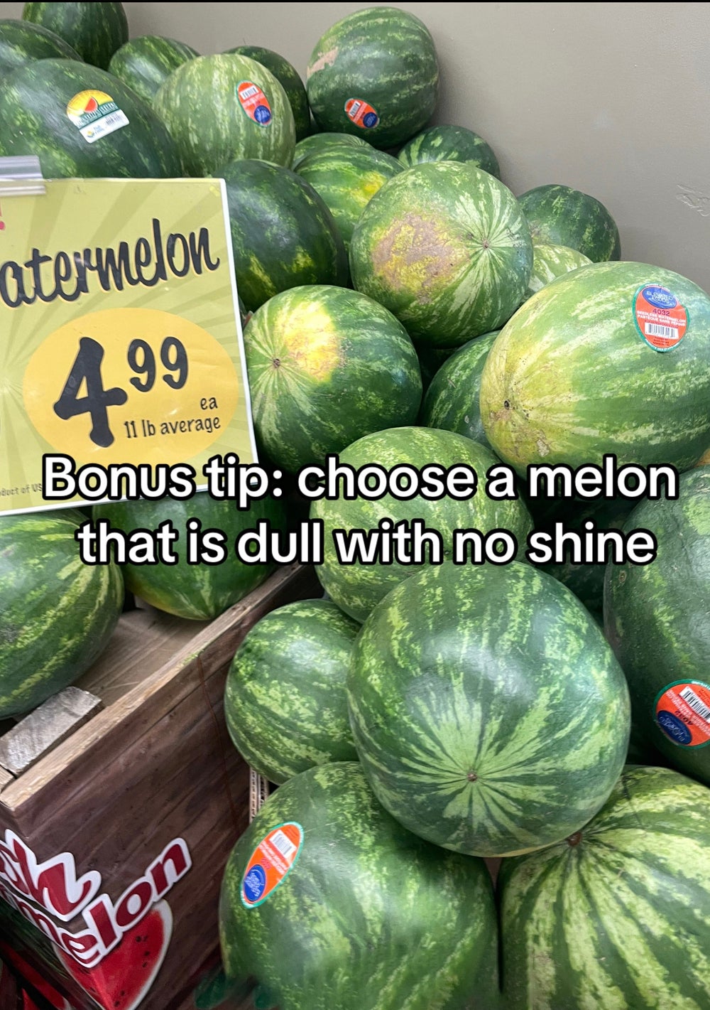 watermelon