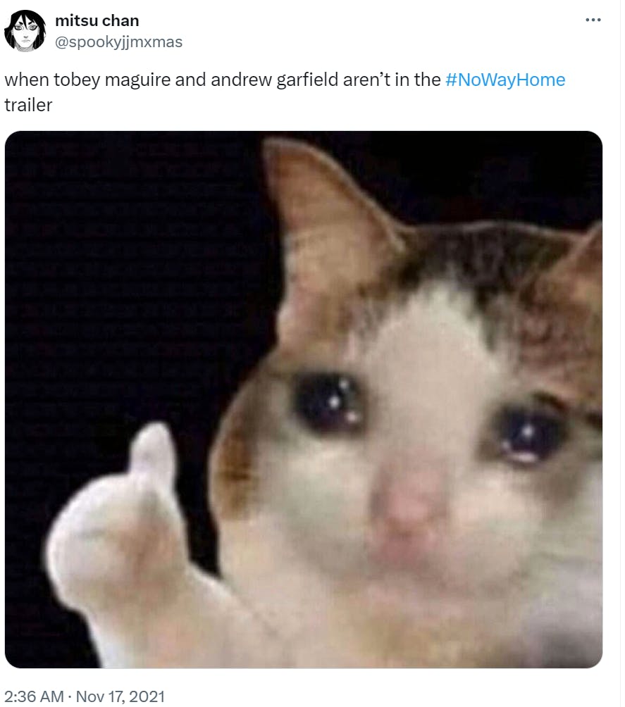 Thumbs up crying cat meme with text above it that reads, 'when tobey macguire and andrew garfield aren't in the No Way Home trailer.'