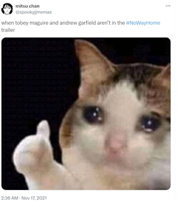 Thumbs up crying cat meme with text above it that reads, "when tobey macguire and andrew garfield aren't in the No Way Home trailer."