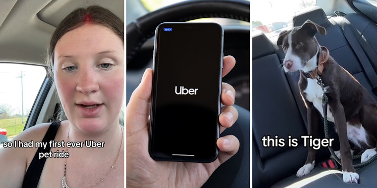 Driver picks up first Uber Pet ride. The passenger was taking her dog to get euthanized