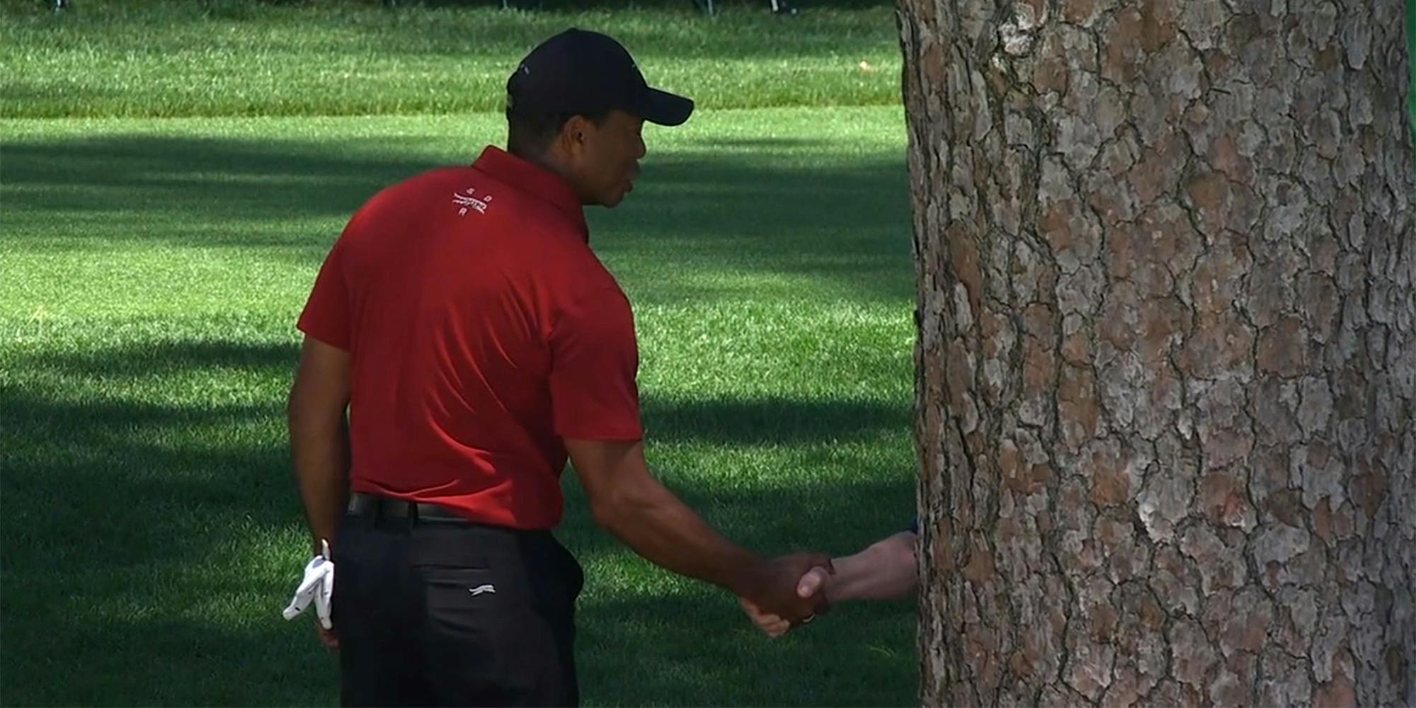 tiger woods shaking hands with a tree