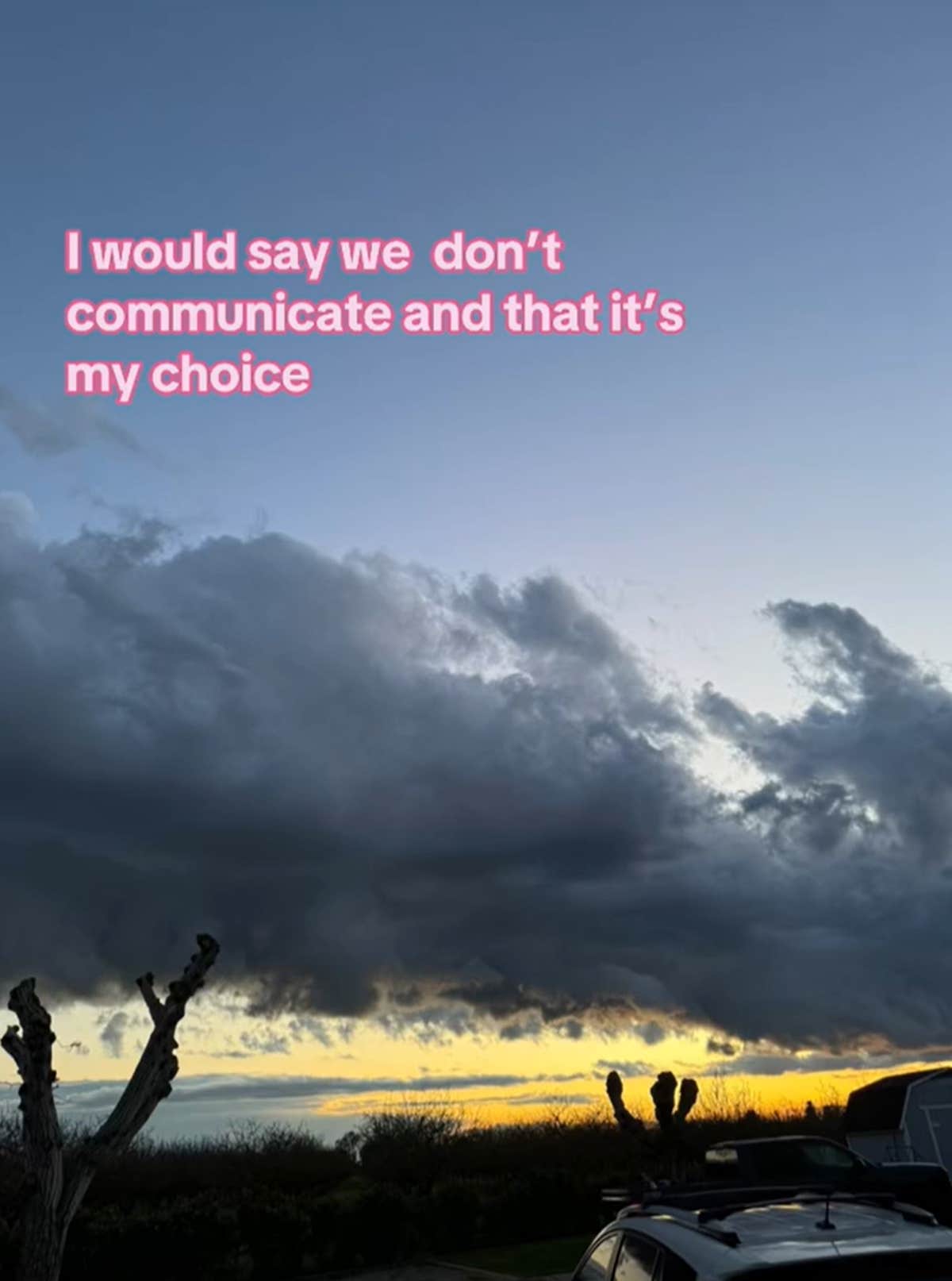Layla Deline'S Tiktok Leak: A Deeper Dive - l662p9s