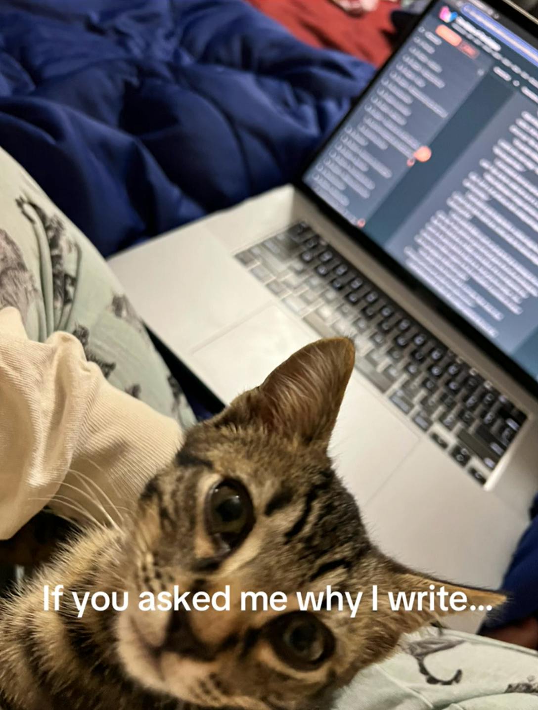 Photo of a cat and laptop on a lap. Text overlay reads, 'If you asked me why I write...'