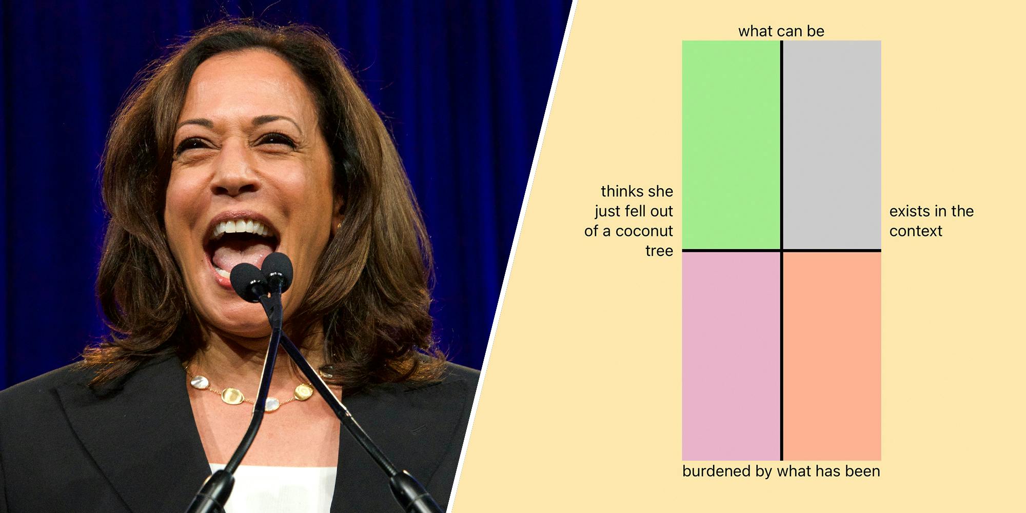 Kamala Harris Political Compass memes exist in the context of what has been