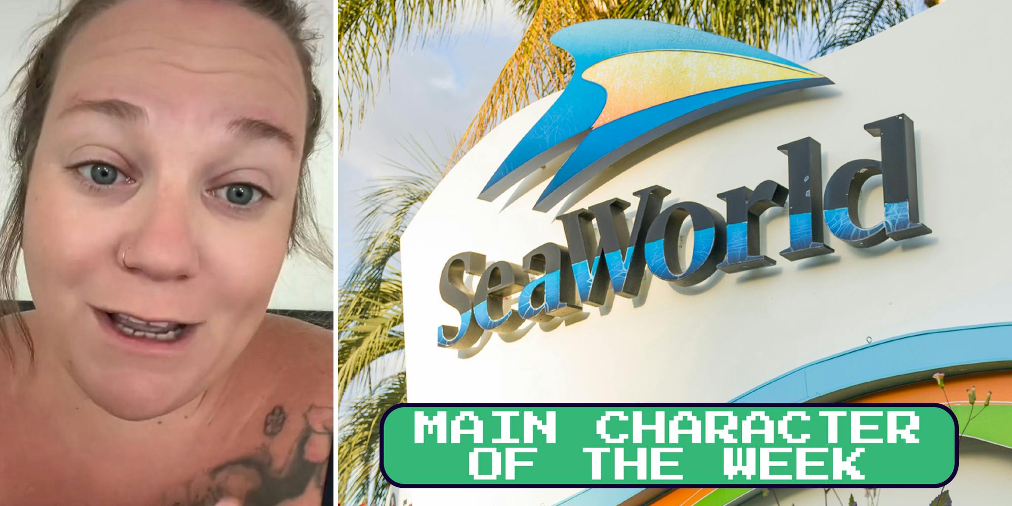 A person talking to the camera next to a SeaWorld sign. There is text in a Daily Dot newsletter web_crawlr font that says 'Main Character of the Week' in the bottom right corner.