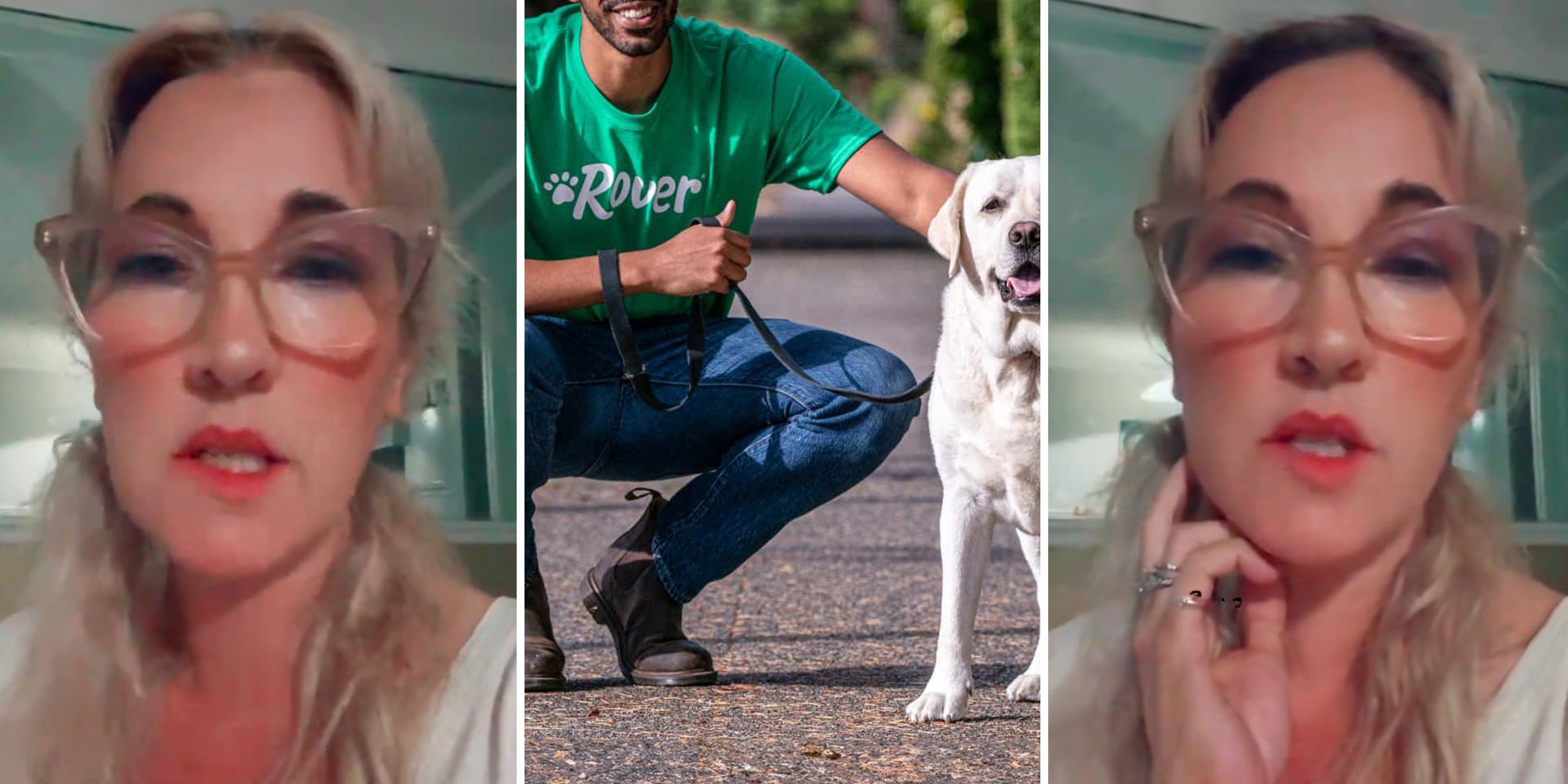 Customer says Rover dog sitter didn’t do job she was paid for, ‘lied’ about it