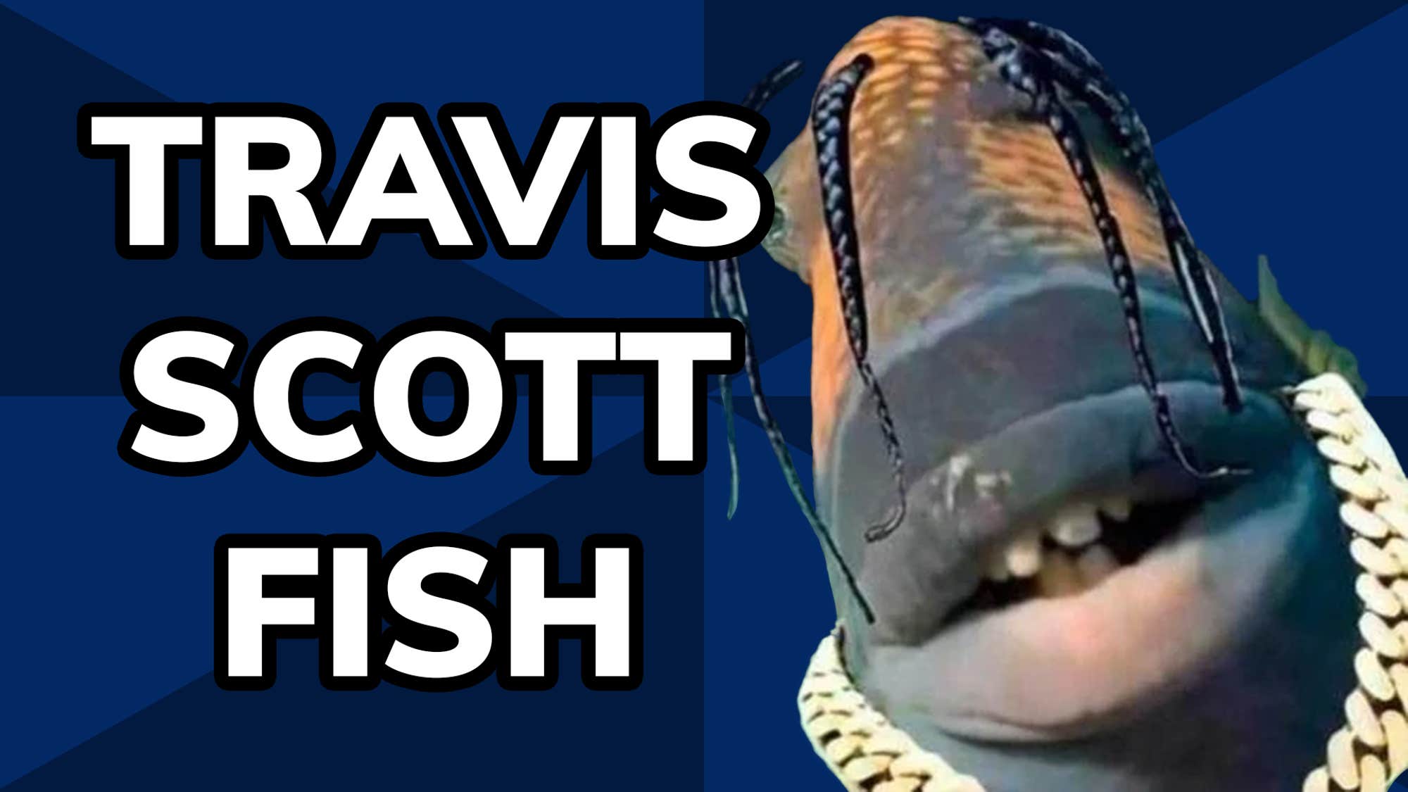 Meme History Travis Scott Fish Meme History Travis Scott Fish