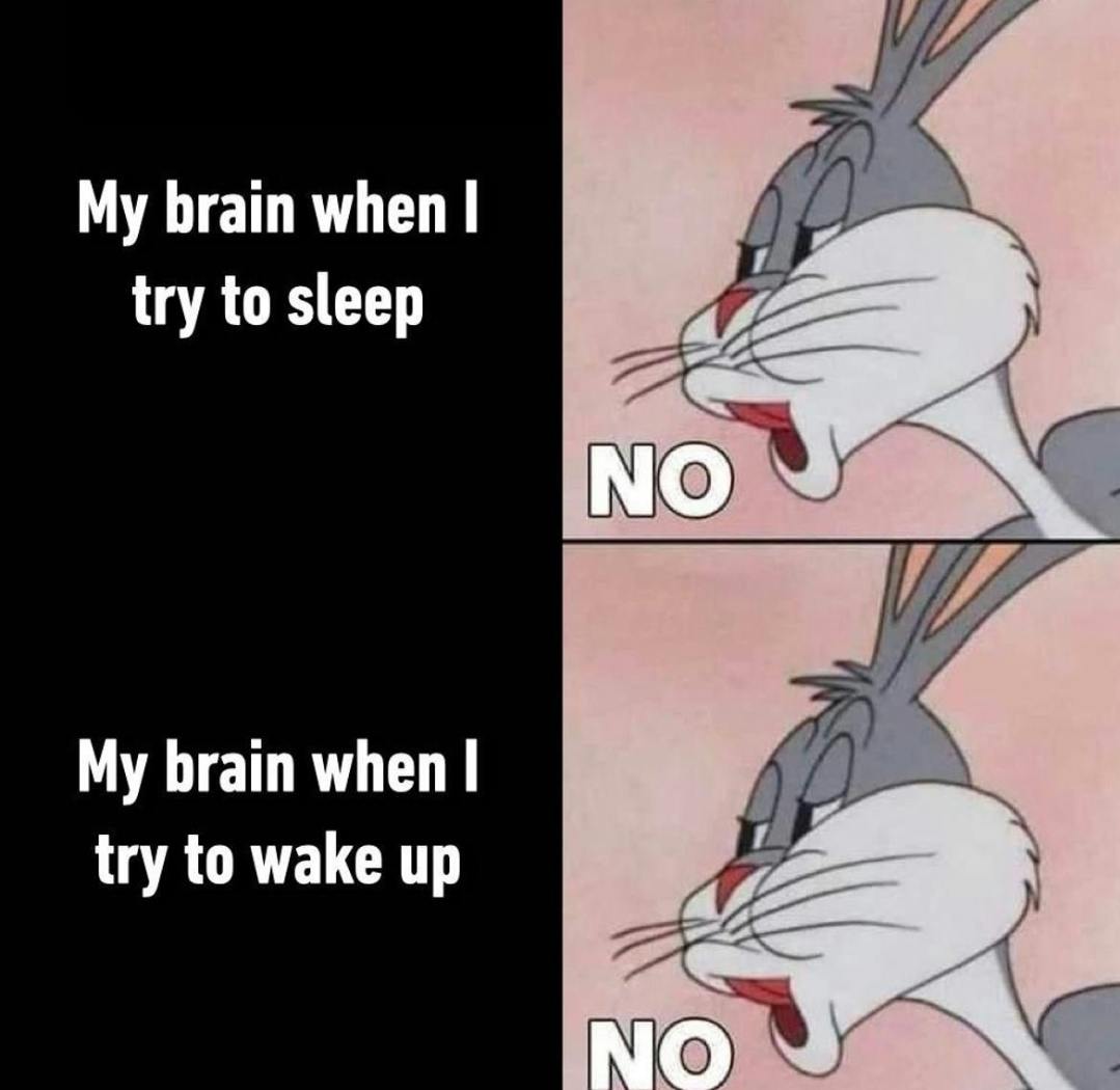 bugs bunny no meme, double panel with text reading 'my brain when I try to sleep' above text that reads 'My brain when I try to wake up'