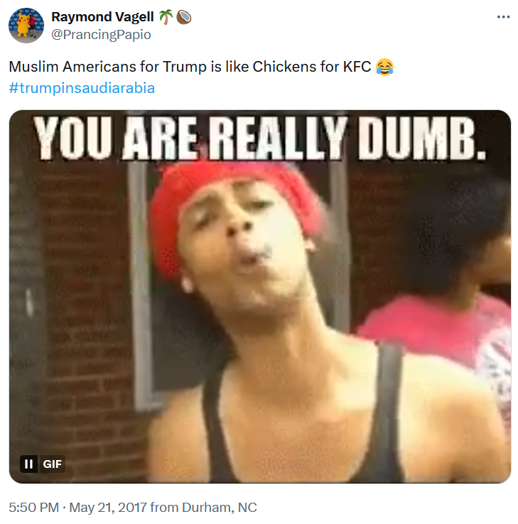 Chickens for KFC meme with the 'you are so dumb' reaction gif.