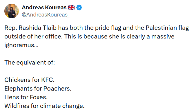 Tweet reading 'Rep. Rashida Tlaib has both the pride flag and the Palestinian flag outside of her office. This is because she is clearly a massive ignoramus… The equivalent of: Chickens for KFC. Elephants for Poachers. Hens for Foxes. Wildfires for climate change.'