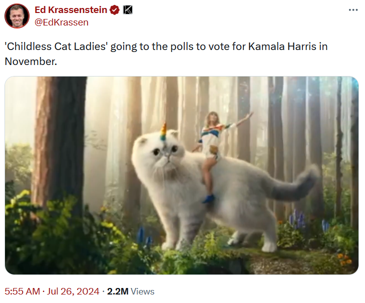 Childless cat lady meme with an AI video of Taylor Swift riding a giant cat.